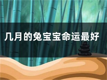 几月的兔宝宝命运最好