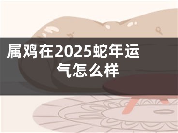 属鸡在2025蛇年运气怎么样