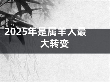 2025年是属羊人最大转变