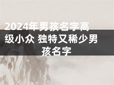 2024年男孩名字高级小众 独特又稀少男孩名字