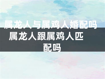 属龙人与属鸡人婚配吗  属龙人跟属鸡人匹配吗