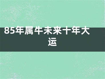 85年属牛未来十年大运