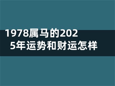 1978属马的2025年运势和财运怎样