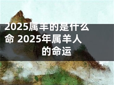 2025属羊的是什么命 2025年属羊人的命运