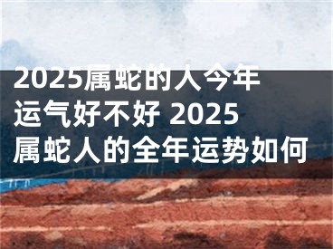 2025属蛇的人今年运气好不好 2025属蛇人的全年运势如何