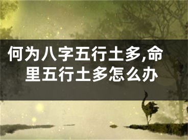 何为八字五行土多,命里五行土多怎么办