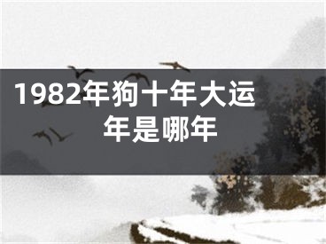 1982年狗十年大运年是哪年