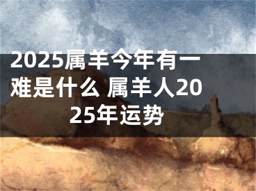 2025属羊今年有一难是什么 属羊人2025年运势
