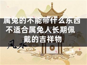 属兔的不能带什么东西 不适合属兔人长期佩戴的吉祥物