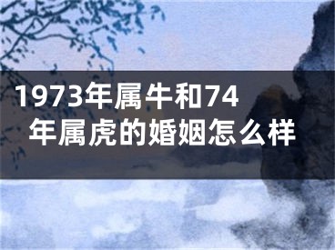 1973年属牛和74年属虎的婚姻怎么样