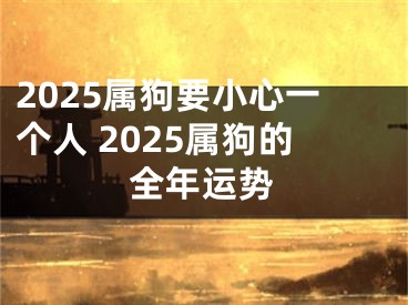2025属狗要小心一个人 2025属狗的全年运势