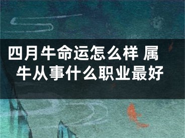 四月牛命运怎么样 属牛从事什么职业最好