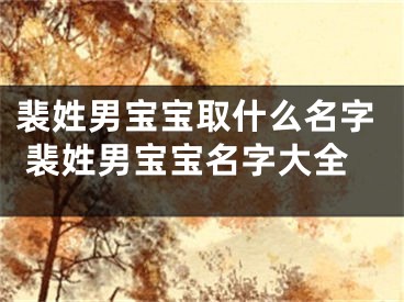 裴姓男宝宝取什么名字 裴姓男宝宝名字大全