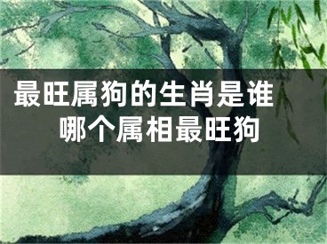 最旺属狗的生肖是谁 哪个属相最旺狗