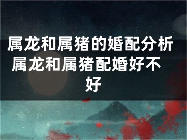 属龙和属猪的婚配分析 属龙和属猪配婚好不好