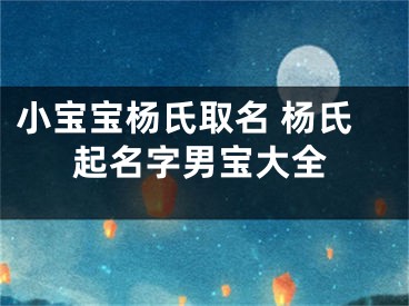 小宝宝杨氏取名 杨氏起名字男宝大全