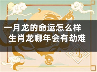 一月龙的命运怎么样 生肖龙哪年会有劫难