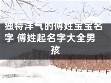 独特洋气的傅姓宝宝名字 傅姓起名字大全男孩