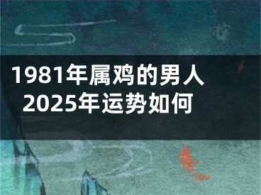 1981年属鸡的男人2025年运势如何