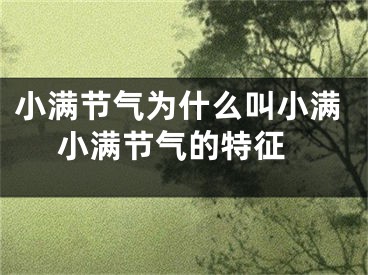 小满节气为什么叫小满 小满节气的特征