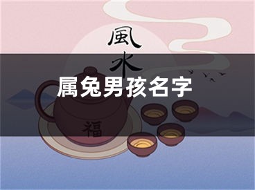 属兔男孩名字