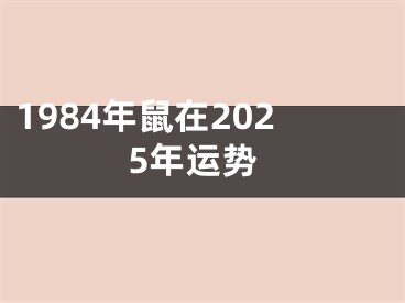1984年鼠在2025年运势
