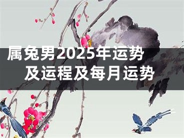 属兔男2025年运势及运程及每月运势