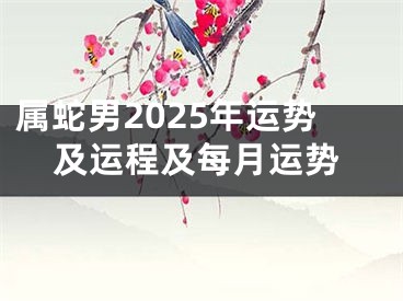 属蛇男2025年运势及运程及每月运势