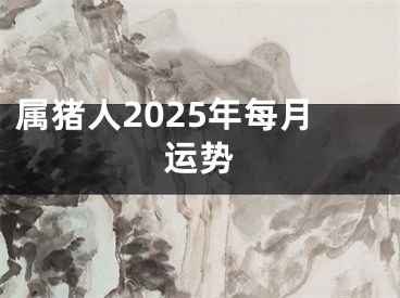 属猪人2025年每月运势
