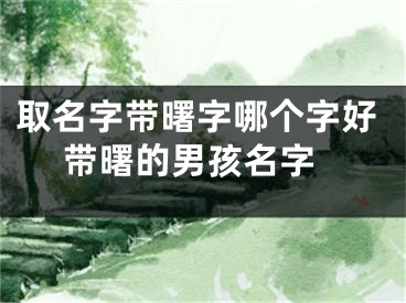 取名字带曙字哪个字好 带曙的男孩名字