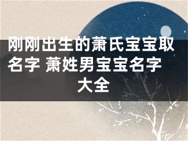 刚刚出生的萧氏宝宝取名字 萧姓男宝宝名字大全