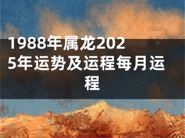 1988年属龙2025年运势及运程每月运程