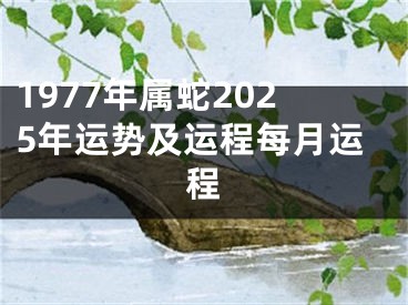 1977年属蛇2025年运势及运程每月运程