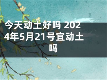 今天动土好吗 2024年5月21号宜动土吗