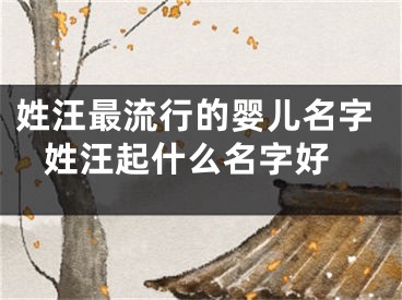 姓汪最流行的婴儿名字 姓汪起什么名字好