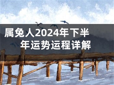 属兔人2024年下半年运势运程详解