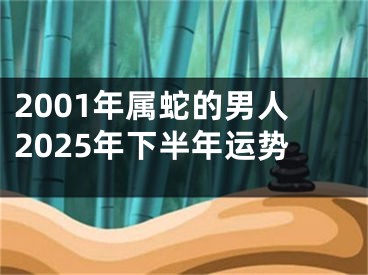 2001年属蛇的男人2025年下半年运势