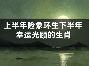 上半年险象环生下半年幸运光顾的生肖