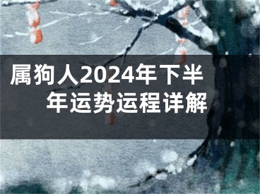 属狗人2024年下半年运势运程详解
