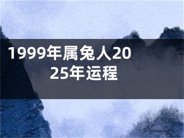 1999年属兔人2025年运程