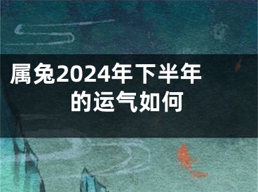 属兔2024年下半年的运气如何