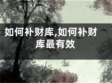 如何补财库,如何补财库最有效