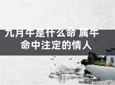 九月牛是什么命 属牛命中注定的情人