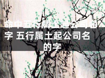 命中五行属土起公司名字 五行属土起公司名的字