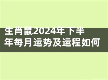生肖鼠2024年下半年每月运势及运程如何
