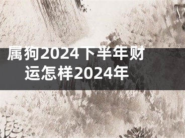 属狗2024下半年财运怎样2024年