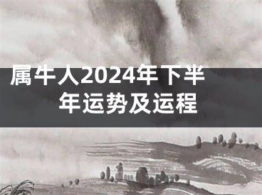 属牛人2024年下半年运势及运程