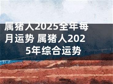 属猪人2025全年每月运势 属猪人2025年综合运势