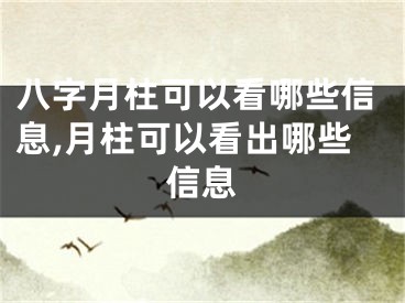 八字月柱可以看哪些信息,月柱可以看出哪些信息