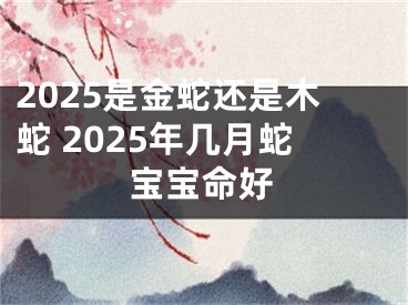 2025是金蛇还是木蛇 2025年几月蛇宝宝命好